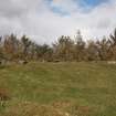 The earthwork protecting the crew shelter on the SE of the NE Emplacement 