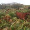 Three of the oil tanks