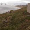 View from the E of the two concrete foundation blocks S of the latrines that anchored the mast (9.43) 