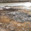 Excavation Photograph, Pre-excavation photo of trough, facing SE, Braes of Conon