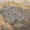 Excavation Photograph, Pre-excavation photo of trough, facing NW, Braes of Conon