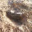 Excavation Photograph, West Facing section of [226], facing E, Braes of Conon