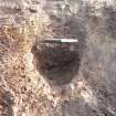 Excavation Photograph, West Facing section of [230], facing E, Braes of Conon