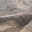 Excavation Photograph, [252] SW Facing section, facing NE, Braes of Conon