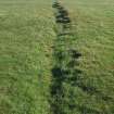 View NE along the ditch on the SE side of the clamp showing holes where the posts of the fence have been extracted 