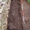 Trial trench, Whole trench context 002, Blachouse F, St Kilda