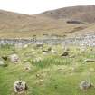 Graveyard survey, Figure 1b, View of Graveyard in 2010, St Kilda