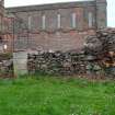 Watching brief, Refectory wall (E half of N wall with tree trunk), Coldingham Priory