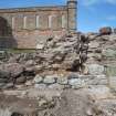 Watching brief, Refectory wall (close up root damage), Coldingham Priory