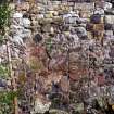 Historic building recording, S face of N garden wall c.2-6m E of watch tower, Duddingston Manse Gardens