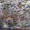 Archaeological evaluation, Wall foundation [009] with wall stub visible in background, Duddingston Manse Gardens