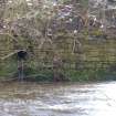 Watching brief, General view, Shawbridge Street Bridge, White Cart Water Flood Prevention Scheme