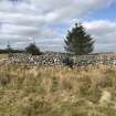 View of cairn and sheepfold, Westruther Burn