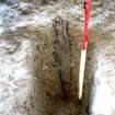 Data structure report plate 8: 'Stake 12 looking W', Archaeological excavation, St. Patrick's Church, Cowgate, Edinburgh