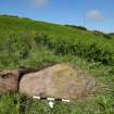 Digital photograph of rock art panel context, Scotland's Rock Art Project, Cross Den, Gallow Hill, Angus