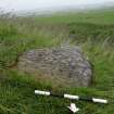 Digital photograph of rock art panel context, Scotland's Rock Art Project, Gallow Hill 1, Angus