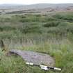 Digital photograph of rock art panel context, Scotland's Rock Art Project, Gallow Hill 1, Angus