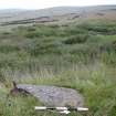 Digital photograph of panel to west, from Scotland’s Rock Art Project, Gallow Hill 1, Angus