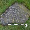 Digital photograph of perpendicular to carved surface(s), from Scotland’s Rock Art Project, Gallow Hill 1, Angus