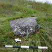 Digital photograph of panel to east, from Scotland’s Rock Art Project, Gallow Hill 1, Angus