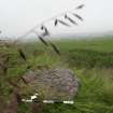 Digital photograph of rock art panel context, Scotland's Rock Art Project, Gallow Hill 1, Angus