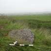 Digital photograph of panel in context with scale, from Scotland’s Rock Art Project, Gallow Hill 1, Angus