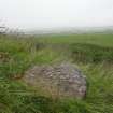 Digital photograph of panel in context without scale, from Scotland’s Rock Art Project, Gallow Hill 1, Angus