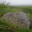 Digital photograph of panel, from Scotland’s Rock Art Project, Gallow Hill 1, Angus