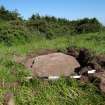 Digital photograph of rock art panel context, Scotland's Rock Art Project, Prieston 3, Prieston, Angus