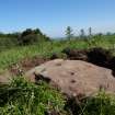 Digital photograph of rock art panel context, Scotland's Rock Art Project, Prieston 3, Prieston, Angus