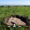 Digital photograph of panel to south, from Scotland’s Rock Art Project, Prieston 3, Prieston, Angus