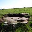 Digital photograph of rock art panel context, Scotland's Rock Art Project, Prieston 3, Prieston, Angus