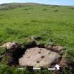 Digital photograph of rock art panel context, Scotland's Rock Art Project, Prieston 3, Prieston, Angus