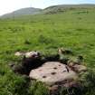 Digital photograph of panel in context without scale, from Scotland’s Rock Art Project, Prieston 3, Prieston, Angus