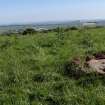 Digital photograph of panorama, from Scotland’s Rock Art Project, Prieston 3, Prieston, Angus