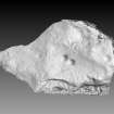 Snapshot of 3D model, from Scotland's Rock Art Project, Turin Hill 5, Turin Hill, Angus