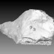 Snapshot of 3D model, from Scotland's Rock Art Project, Turin Hill 5, Turin Hill, Angus
