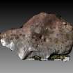 Snapshot of 3D model, from Scotland's Rock Art Project, Turin Hill 5, Turin Hill, Angus