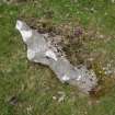 Digital photograph of panel, from Scotland's Rock Art Project, Turin Hill 5, Turin Hill, Angus