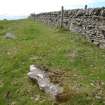 Digital photograph of panel in context without scale, from Scotland's Rock Art Project, Turin Hill 5, Turin Hill, Angus
