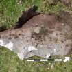 Digital photograph of perpendicular to carved surface(s), from Scotland's Rock Art Project, Turin Hill 5, Turin Hill, Angus