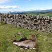 Digital photograph of panel to north-west, from Scotland's Rock Art Project, Turin Hill 5, Turin Hill, Angus