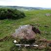 Digital photograph of panel to south, from Scotland's Rock Art Project, Turin Hill 5, Turin Hill, Angus