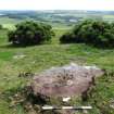 Digital photograph of panel to south-east, from Scotland's Rock Art Project, Turin Hill 5, Turin Hill, Angus