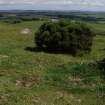 Digital photograph of rock art panel context, Scotland's Rock Art Project, Turin Hill 5, Turin Hill, Angus