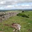 Digital photograph of panel in context with scale, from Scotland's Rock Art Project, Turin Hill 5, Turin Hill, Angus