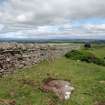 Digital photograph of panel in context without scale, from Scotland's Rock Art Project, Turin Hill 5, Turin Hill, Angus
