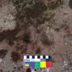 Digital photograph of close ups of motifs, from Scotland's Rock Art Project, Turin Hill 5, Turin Hill, Angus