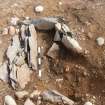 Archaeological excavation, Cist 2 after removal of broken capstone, Holm Mains Farm, Inverness, Highland