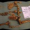 Archaeological excavation, Cist 2 Skeleton, Holm Mains Farm, Inverness, Highland